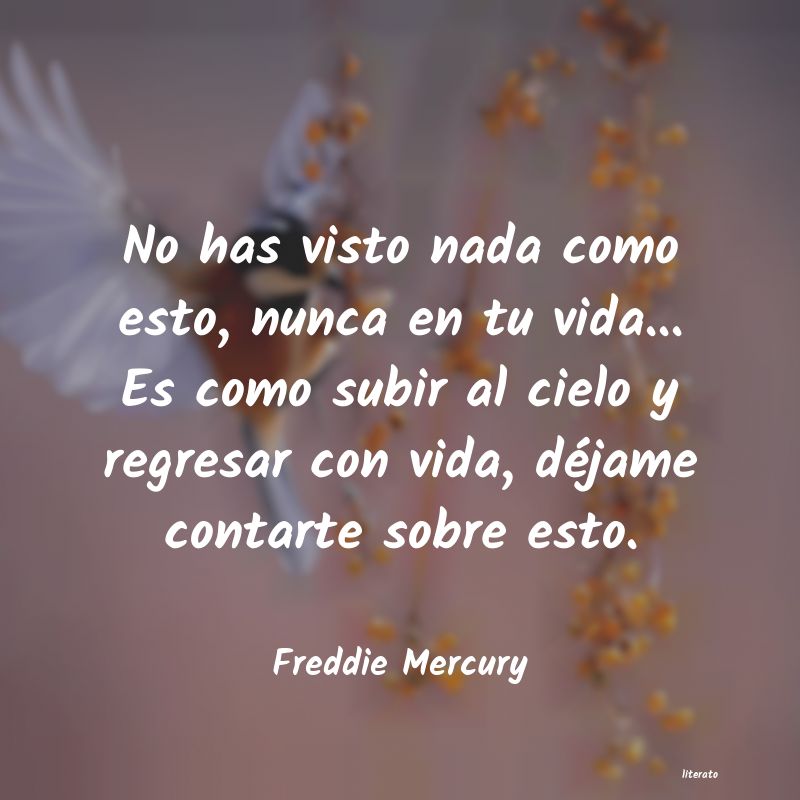 Frases de Freddie Mercury