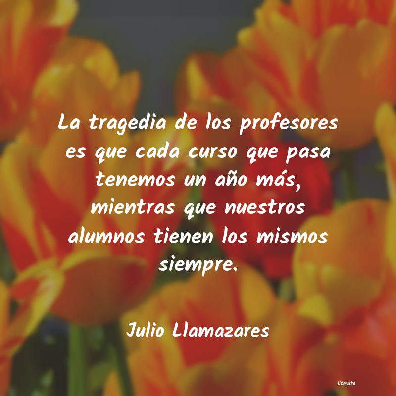 Frases de Julio Llamazares