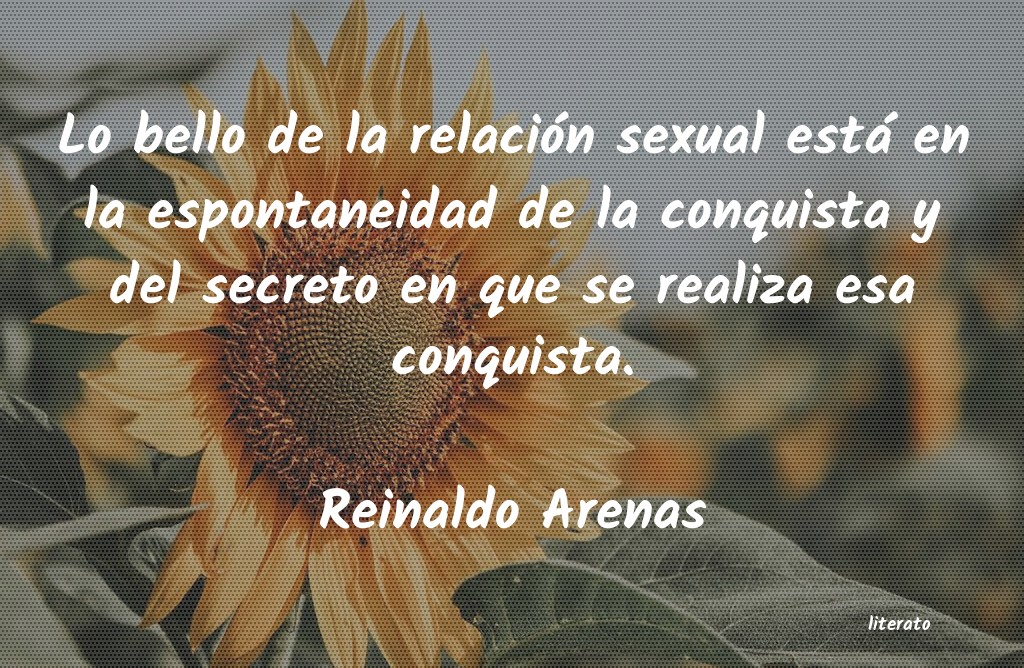 Frases de Reinaldo Arenas