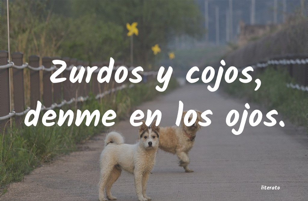 frases
