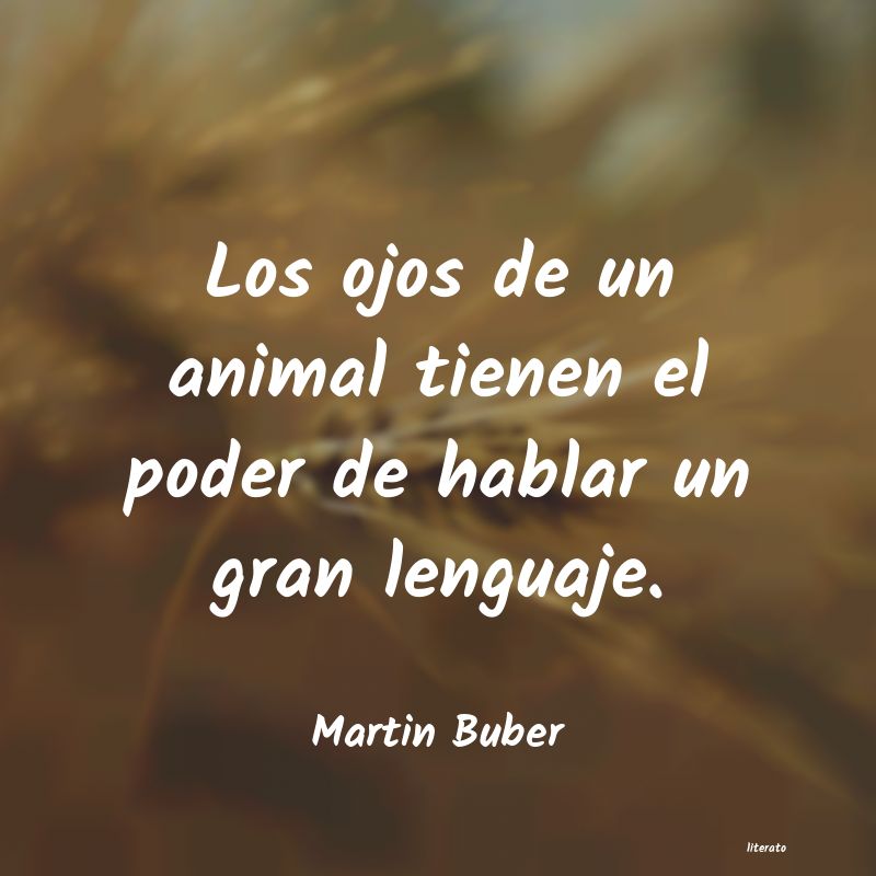 frases de Martin Buber