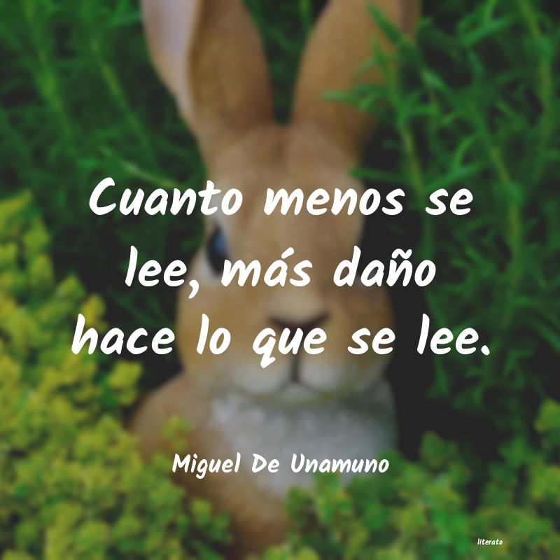 frases de Miguel De Unamuno
