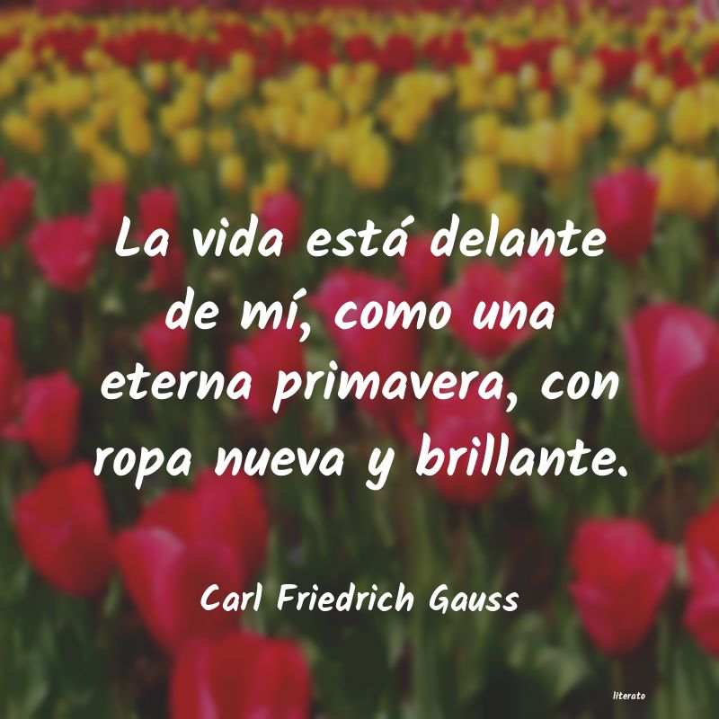 Frases de Carl Friedrich Gauss