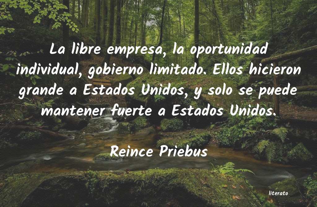 frases de Reince Priebus