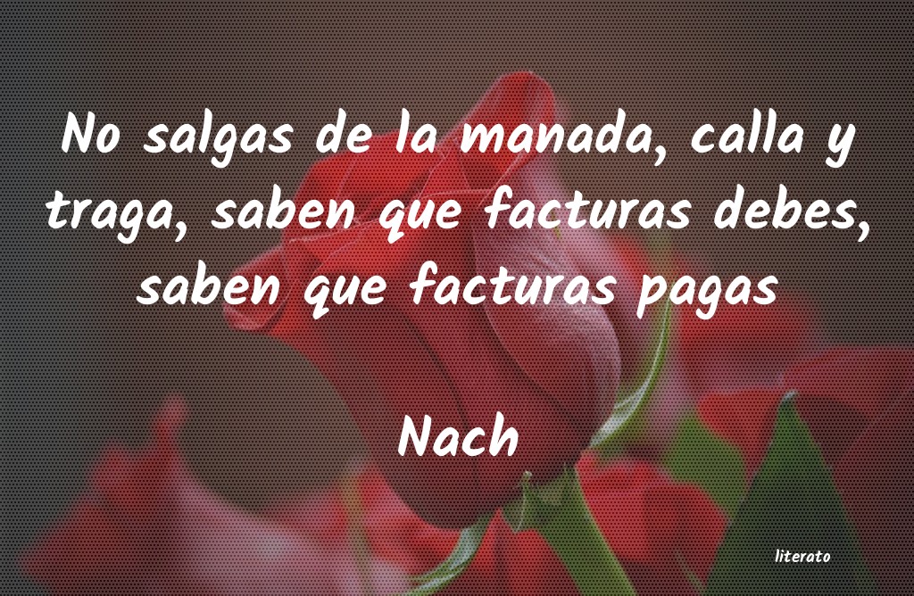 Frases de Nach