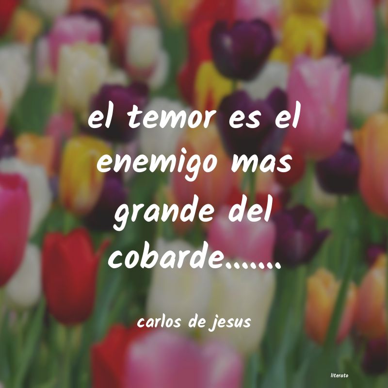 frases de carlos de jesus