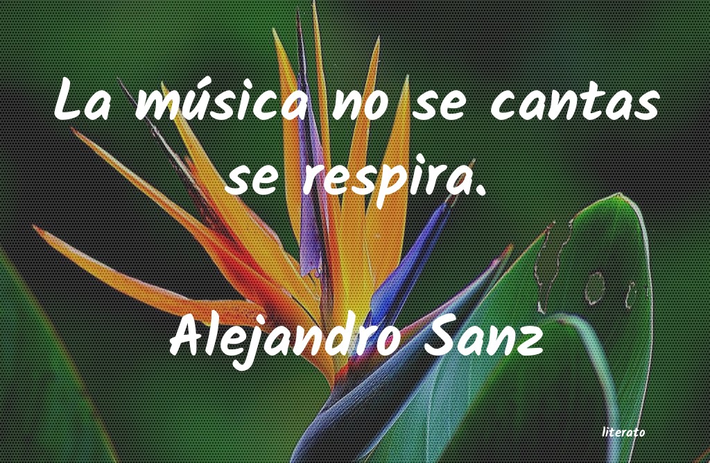 Frases de Alejandro Sanz