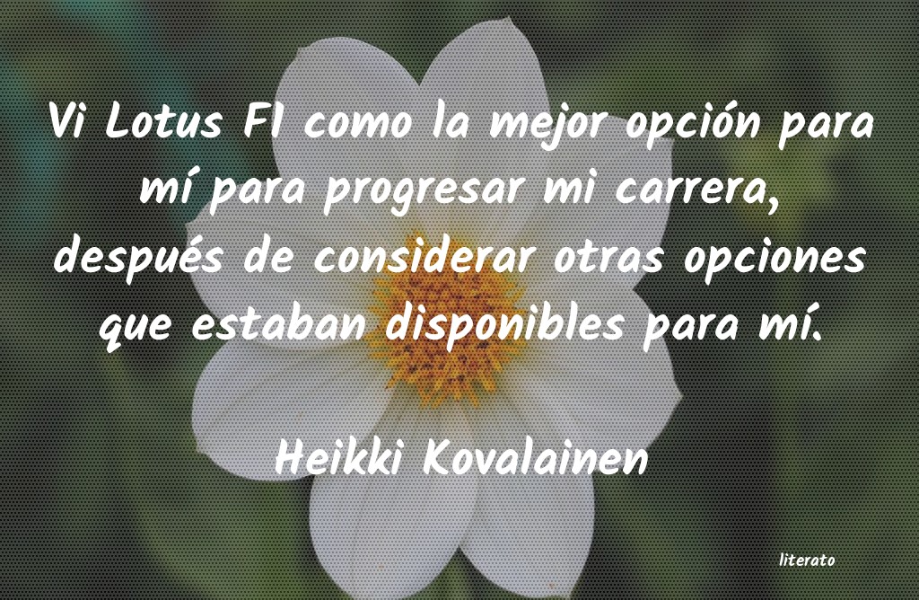 Frases de Heikki Kovalainen