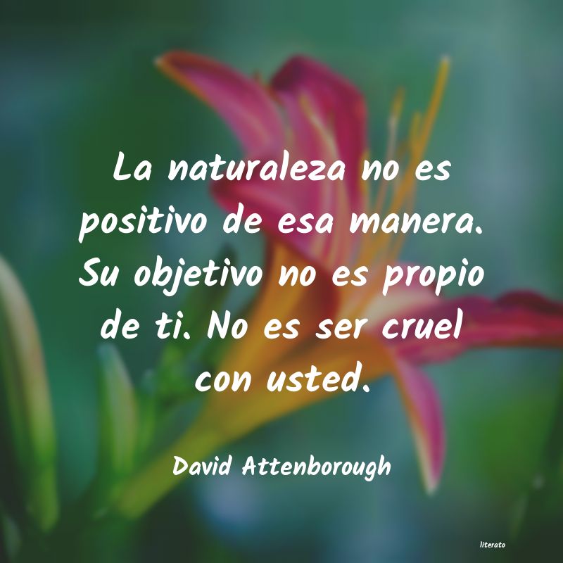 frases de David Attenborough