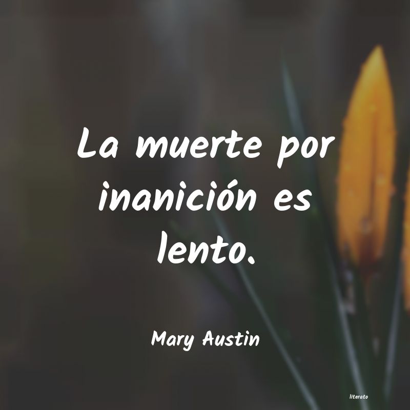 frases de Mary Austin
