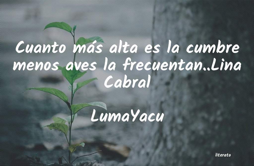 frases de LumaYacu