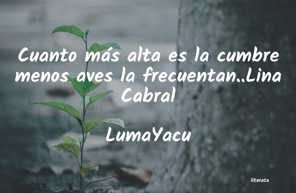 Frases de LumaYacu