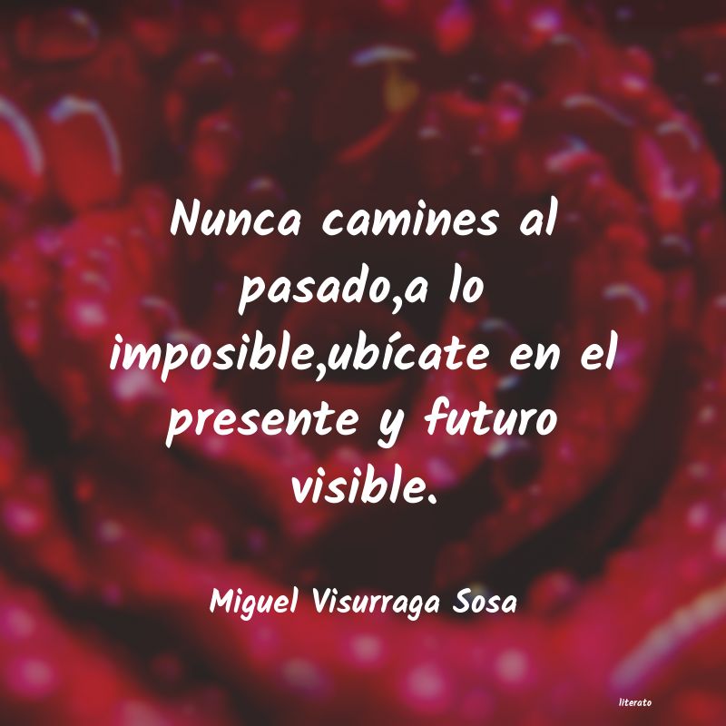 frases de Miguel Visurraga Sosa