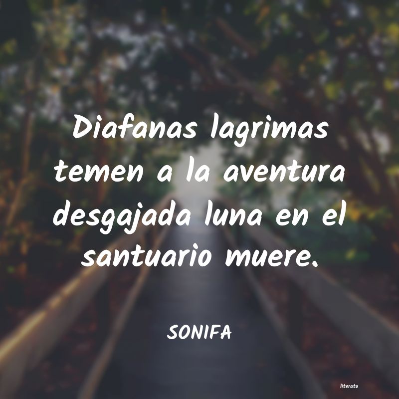 Frases de SONIFA