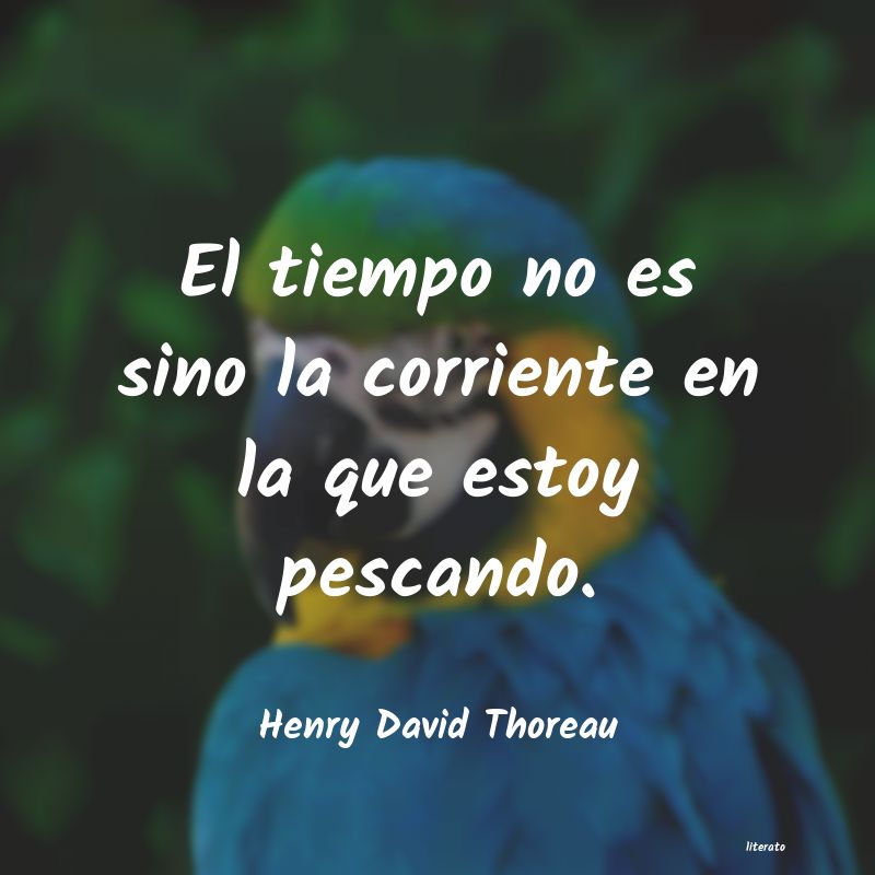 Frases de Henry David Thoreau