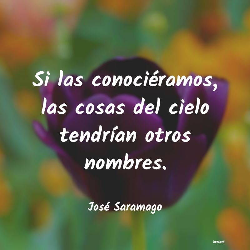 frases de José Saramago