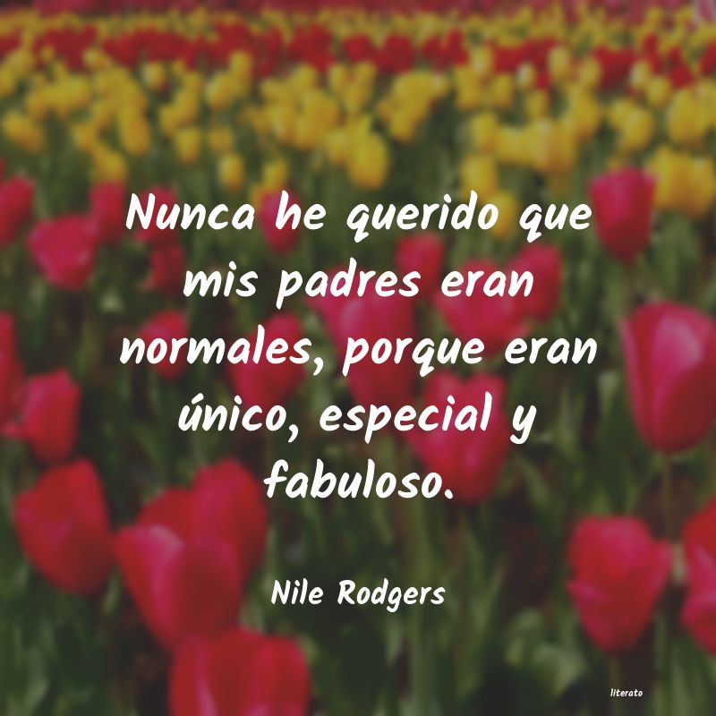 Frases de Nile Rodgers