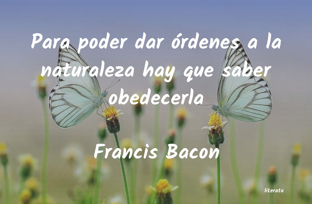 frases de Francis Bacon