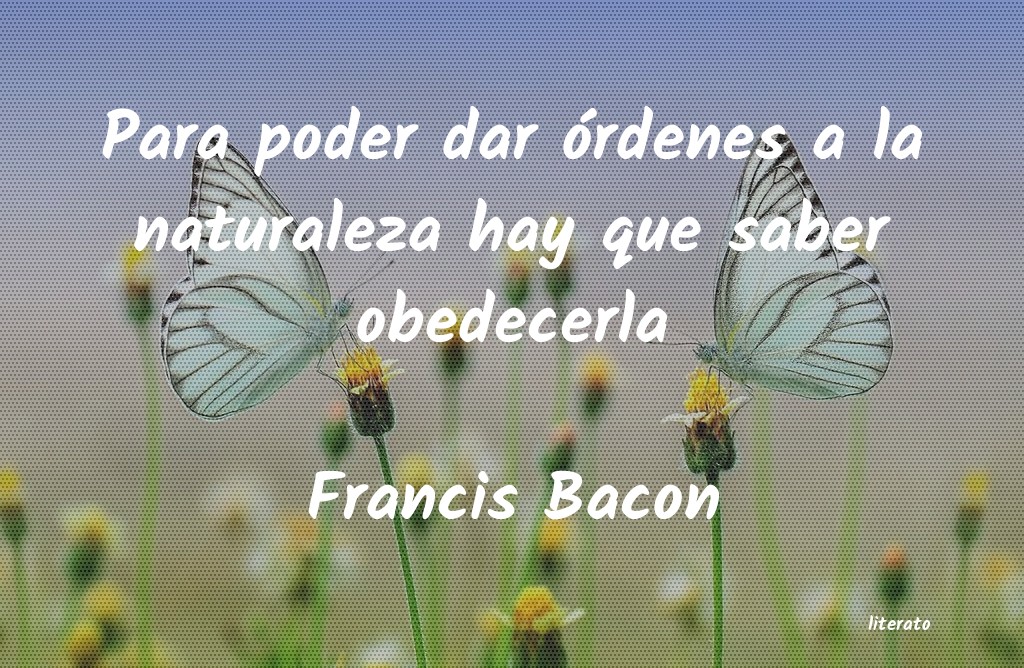 Frases de Francis Bacon