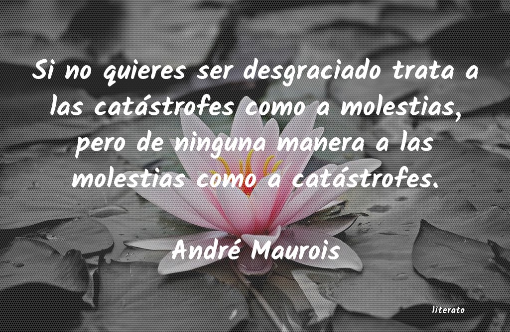 Frases de André Maurois