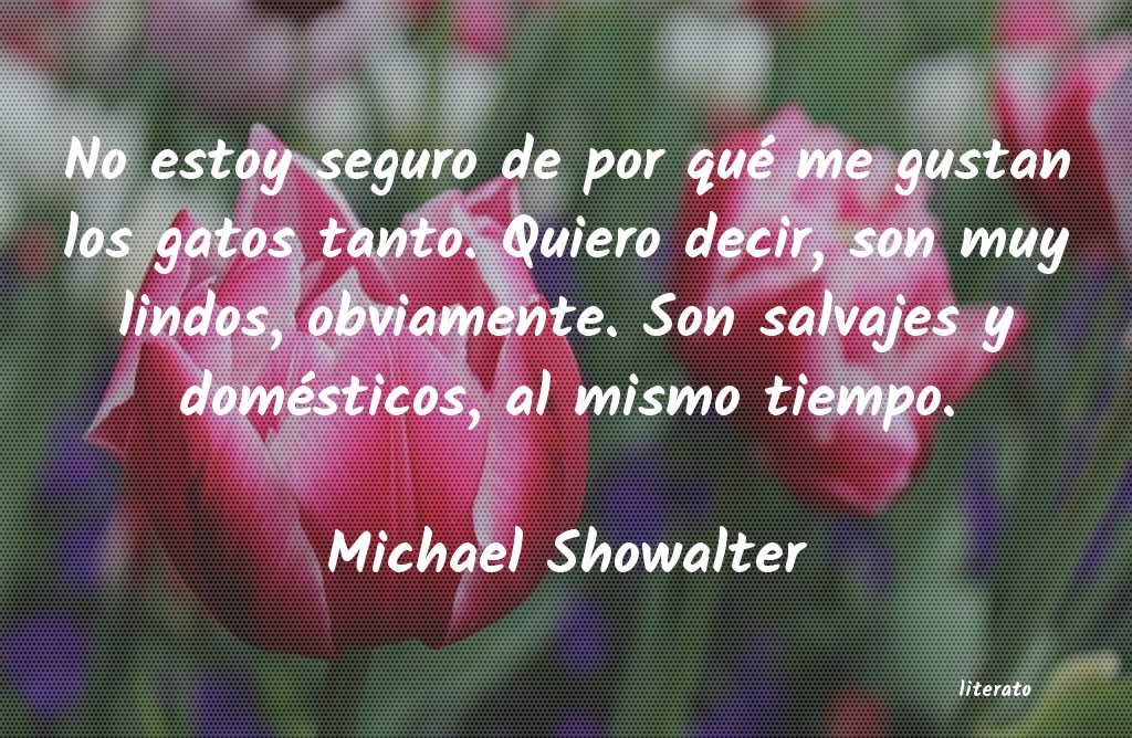 Frases de Michael Showalter