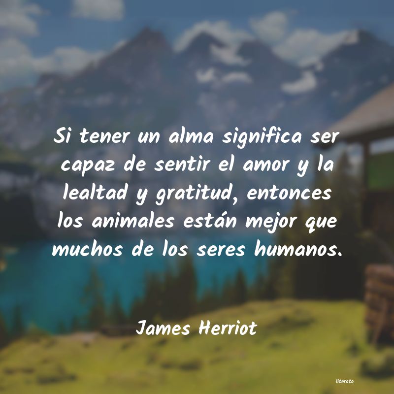 frases de James Herriot