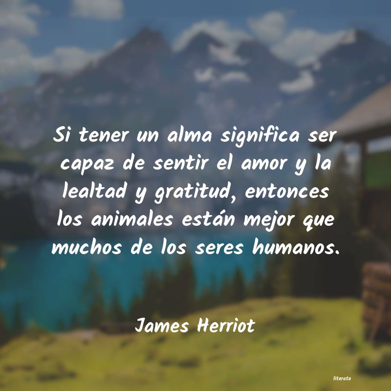 Frases de James Herriot