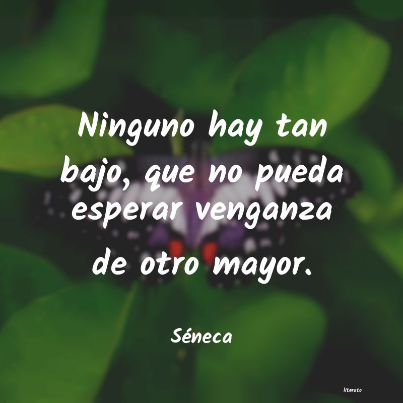 Frases de Séneca