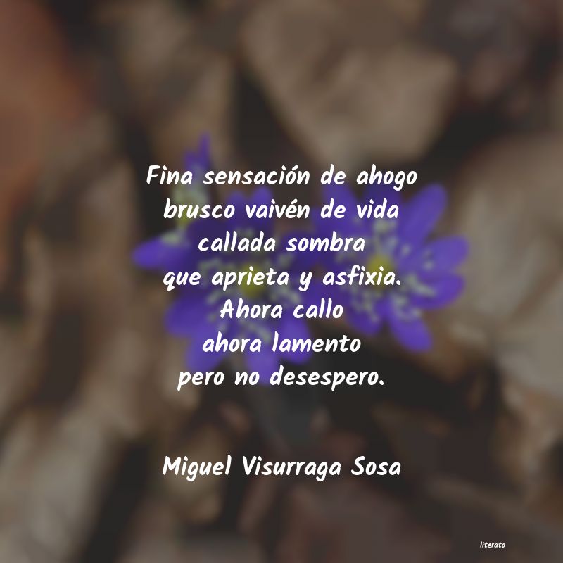 Frases de Miguel Visurraga Sosa