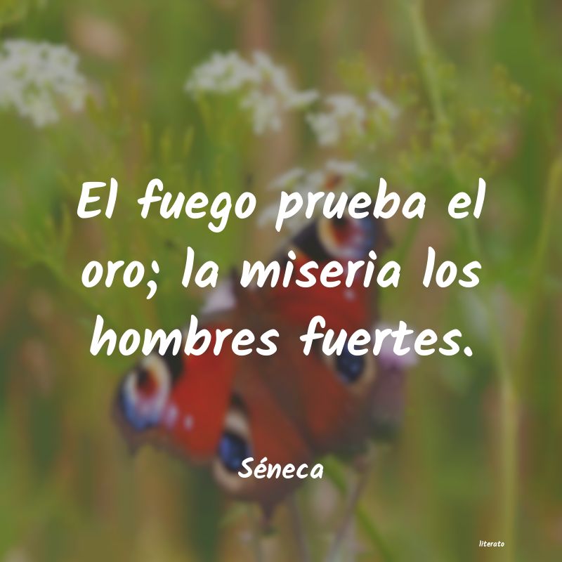 frases de Séneca