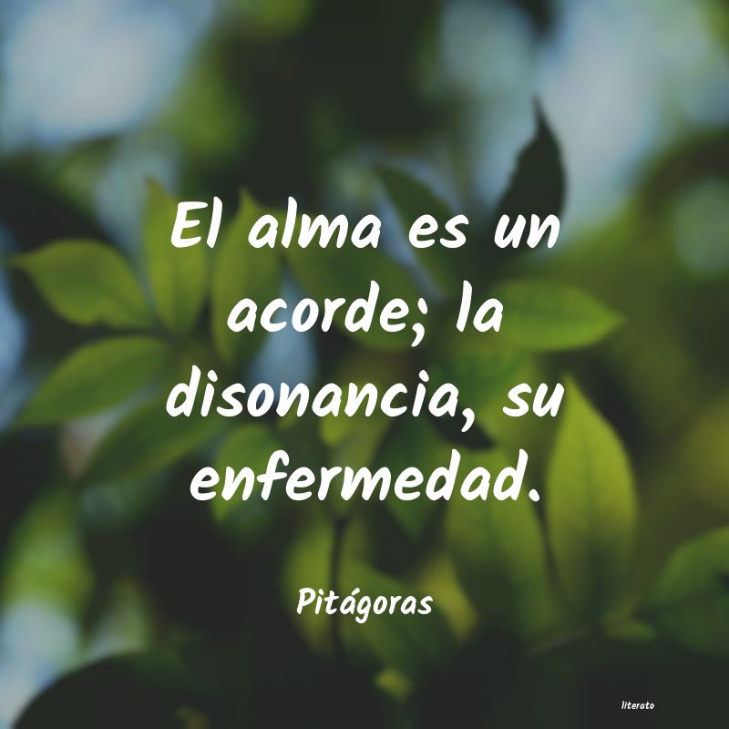 frases del hombre del filosofo pitagoras