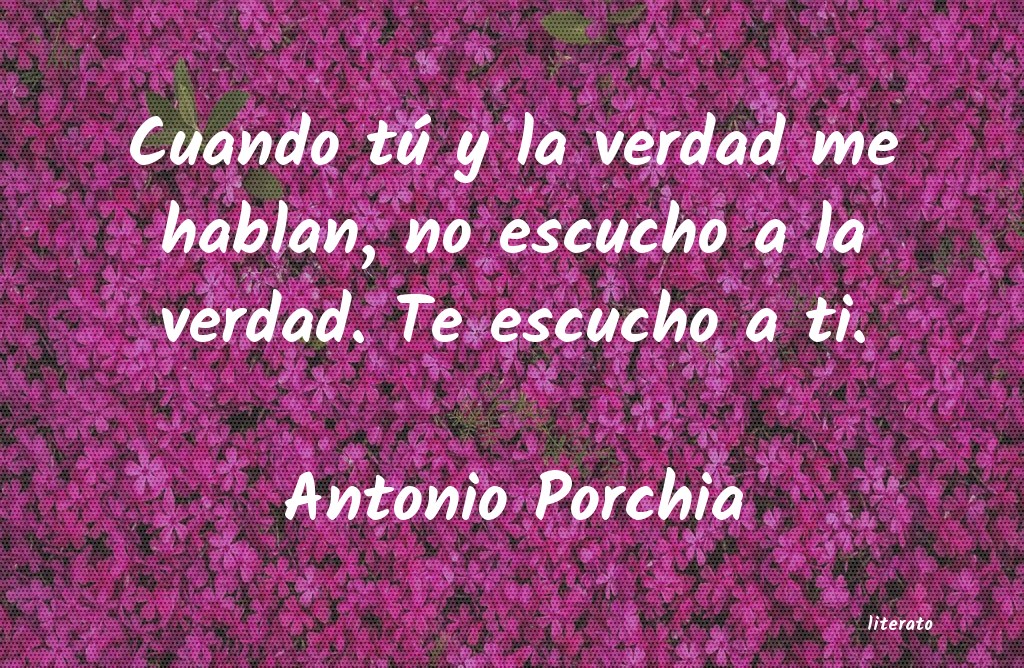 antonio machado media verdad