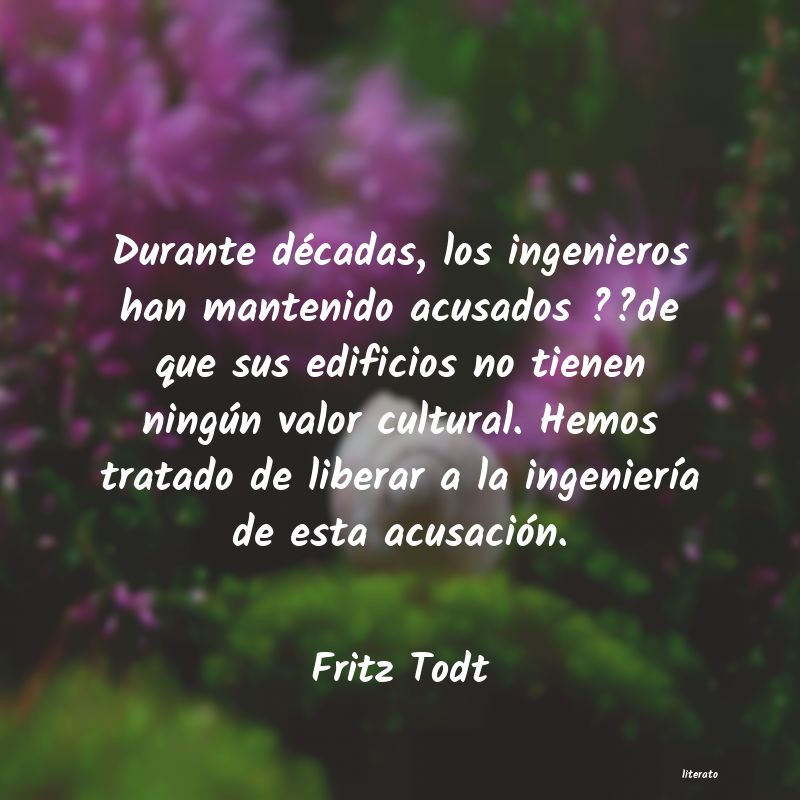 frases de Fritz Todt