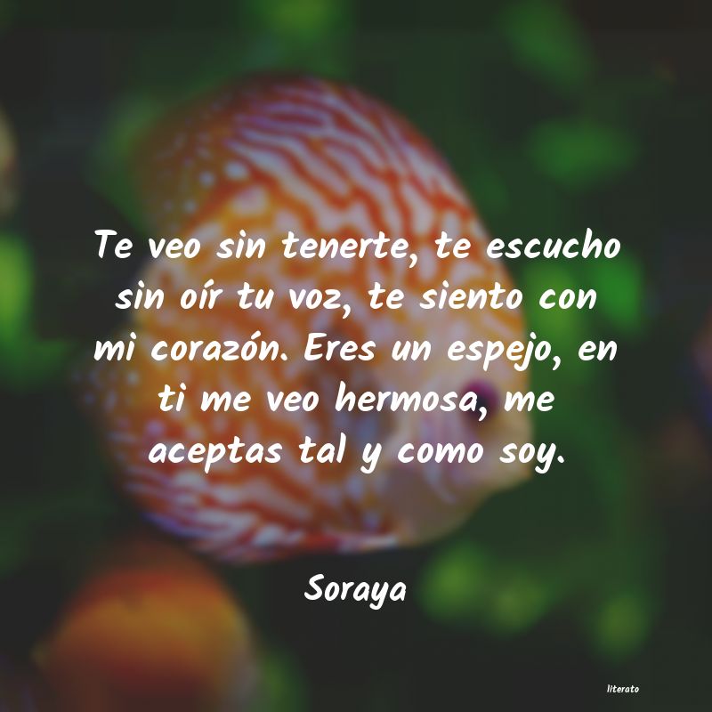 Frases de Soraya