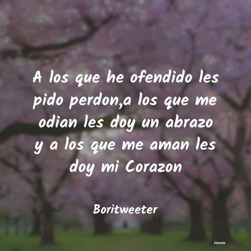 Frases de Boritweeter