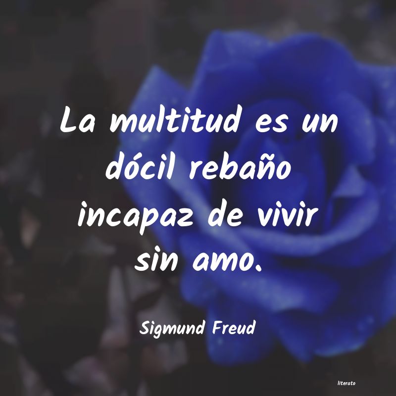 Frases de Sigmund Freud