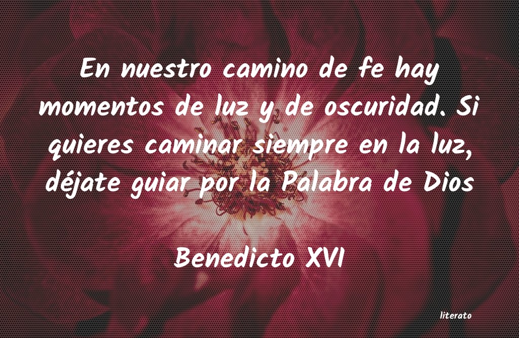 frases de Benedicto XVI