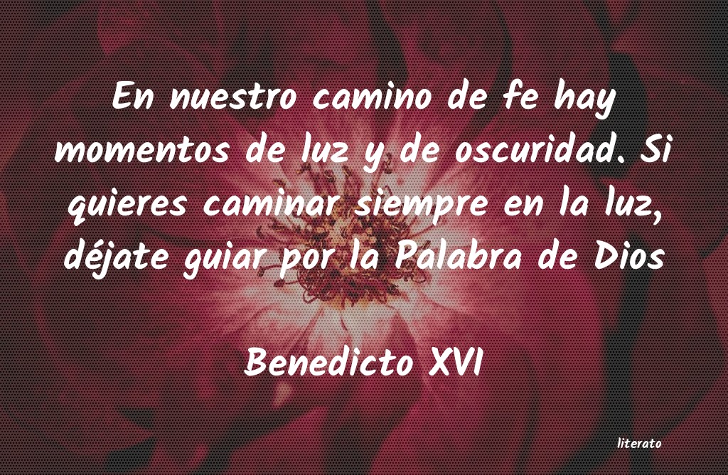 Frases de Benedicto XVI