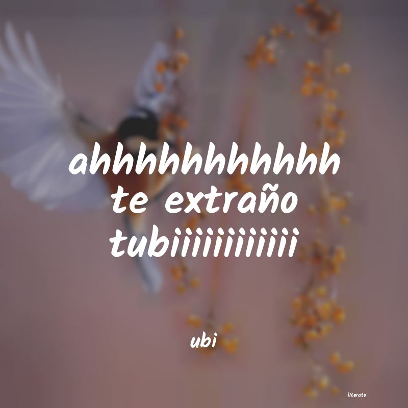 frases de ubi