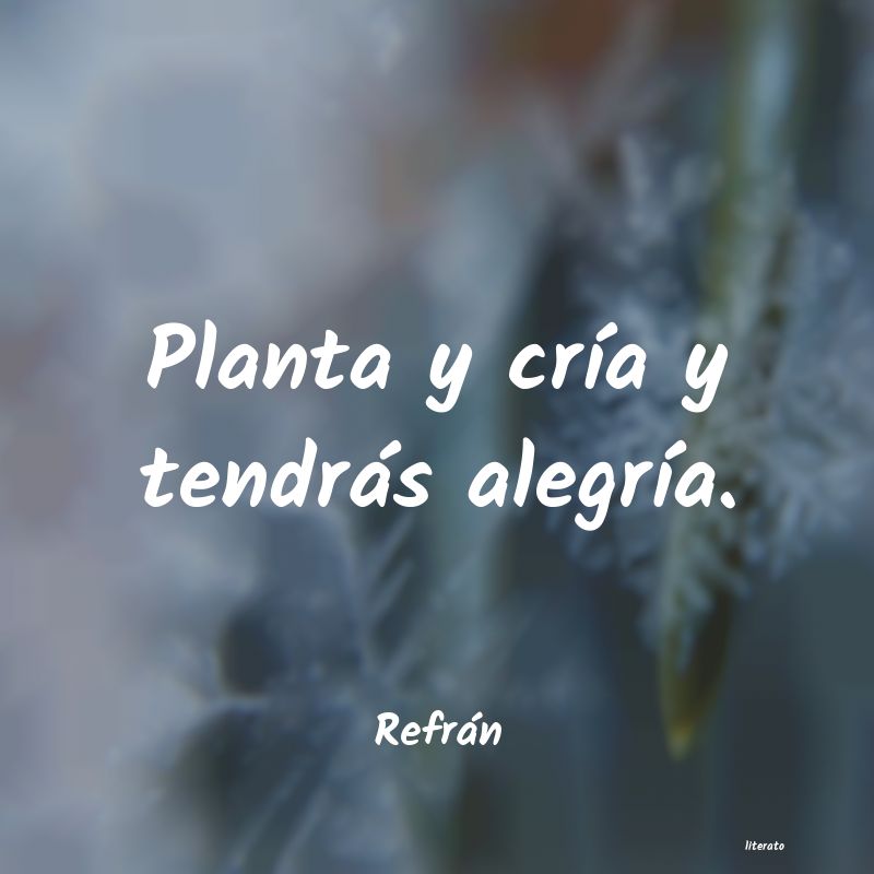 frases de Refrán