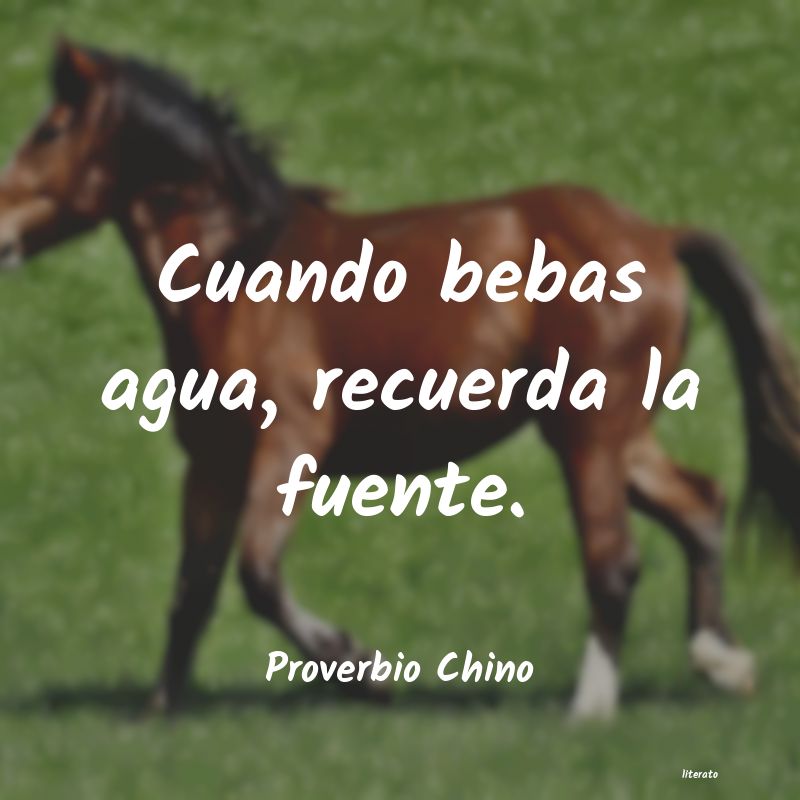 frases de Proverbio Chino