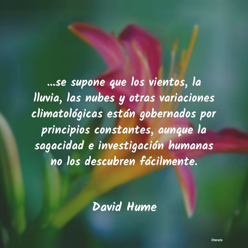 Frases de David Hume