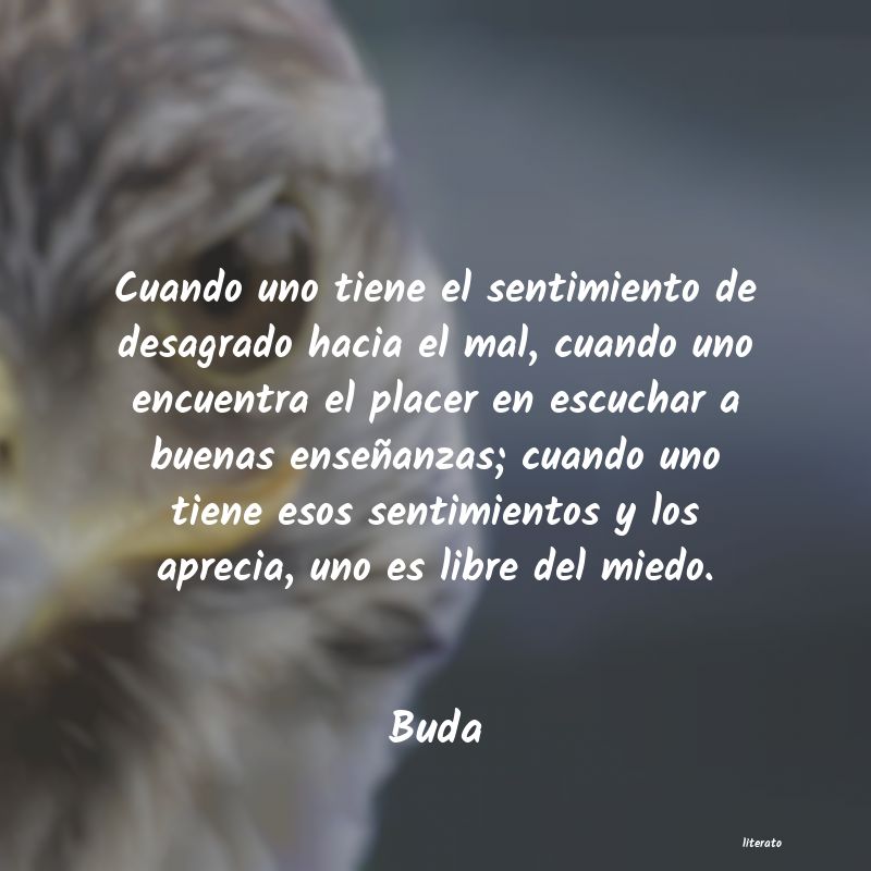 Frases de Buda