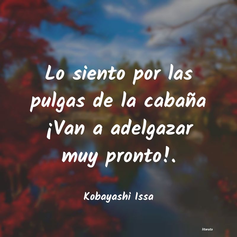 frases de Kobayashi Issa