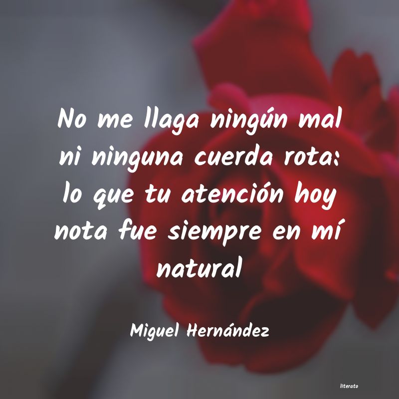 Frases de Miguel Hernández