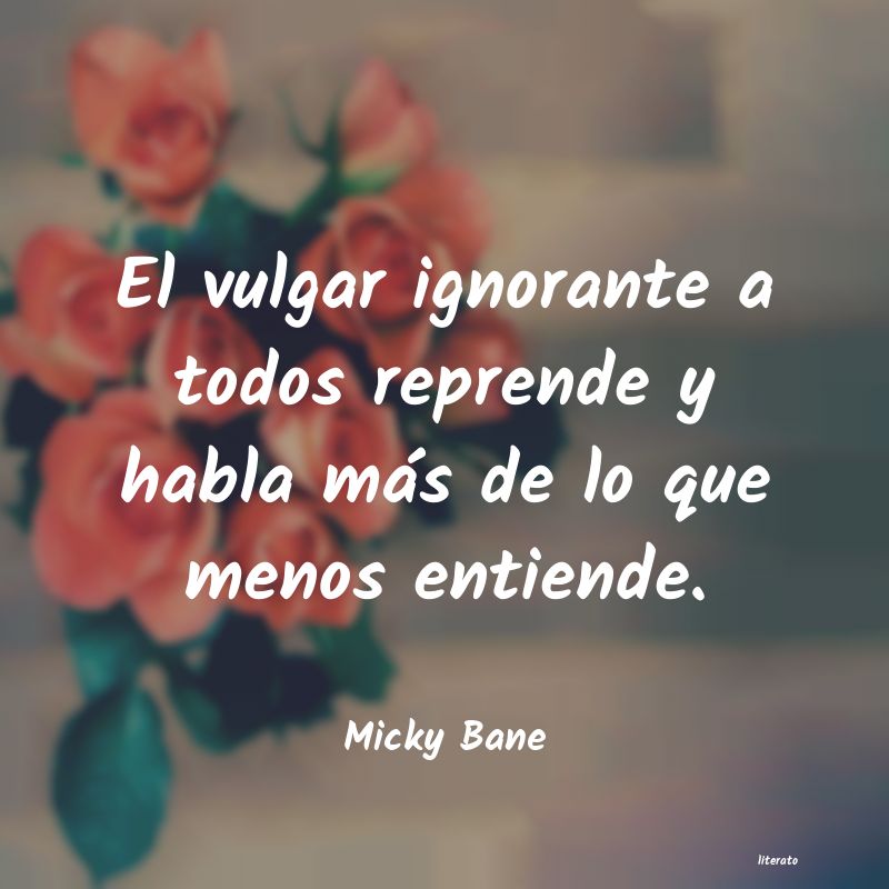 Frases de Micky Bane