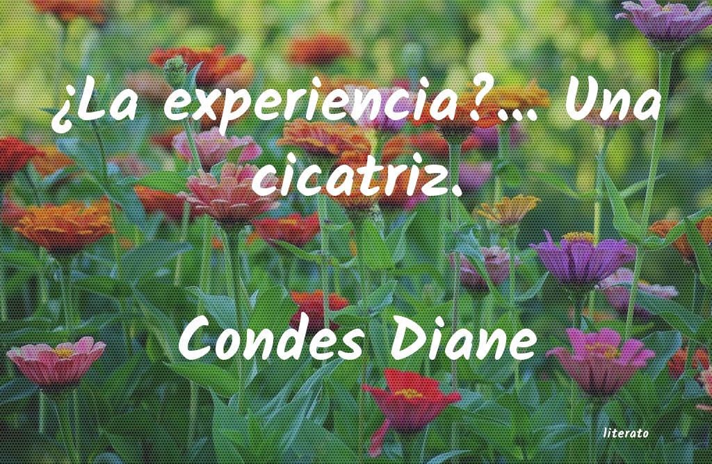 frases de Condes Diane