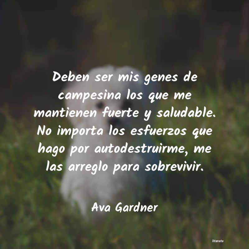 Frases de Ava Gardner