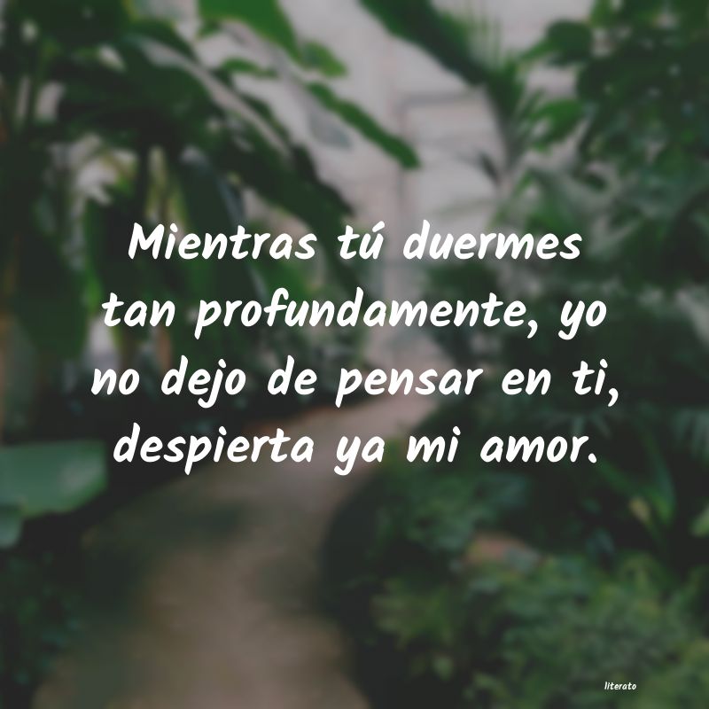 frases