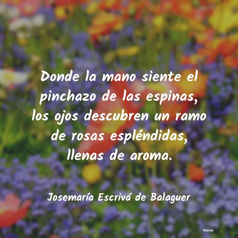 Frases de Josemaría Escrivá de Balaguer